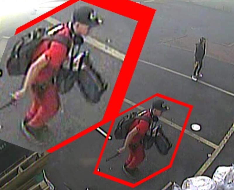 Help the Surrey RCMP identify these arson suspects.