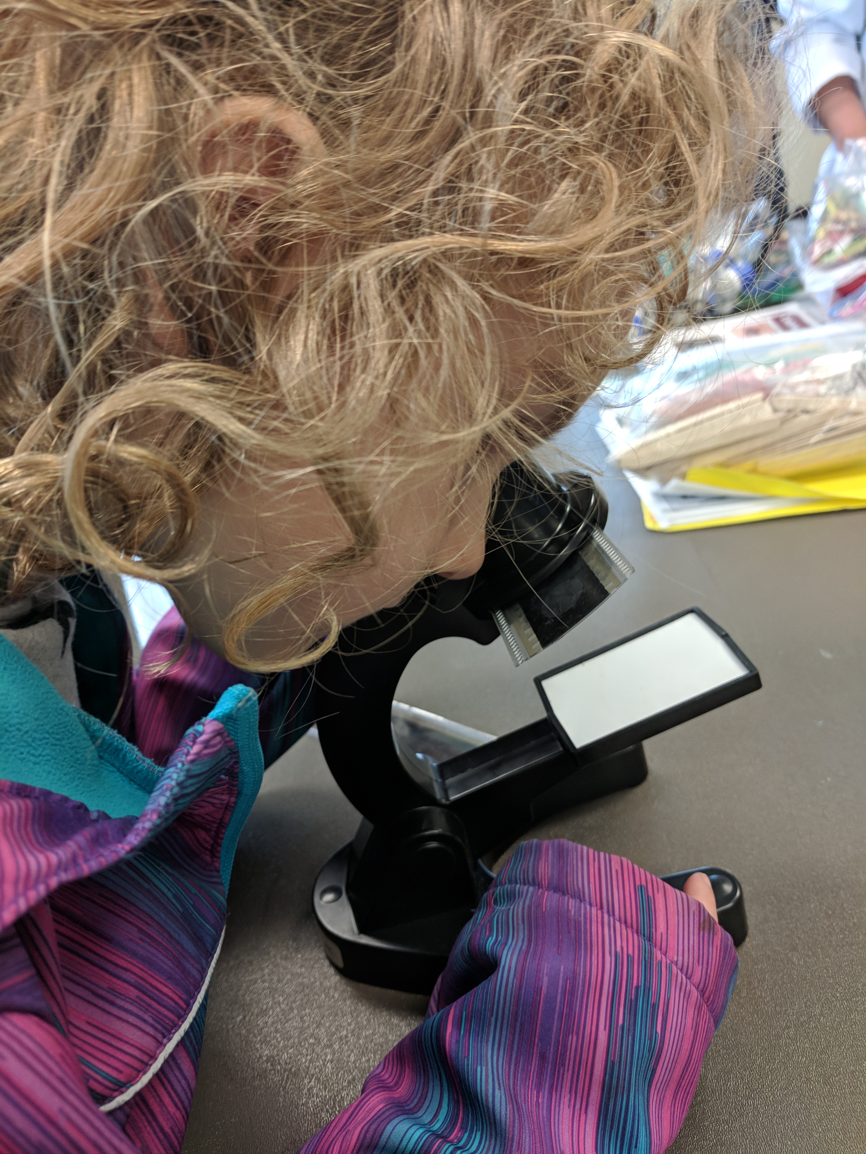 Spring Break Adventures with Surrey Libraries