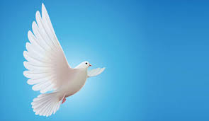 Time Flies Unless Your Dead