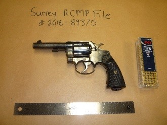  Surrey RCMP seize drugs, cash and handgun during investigation