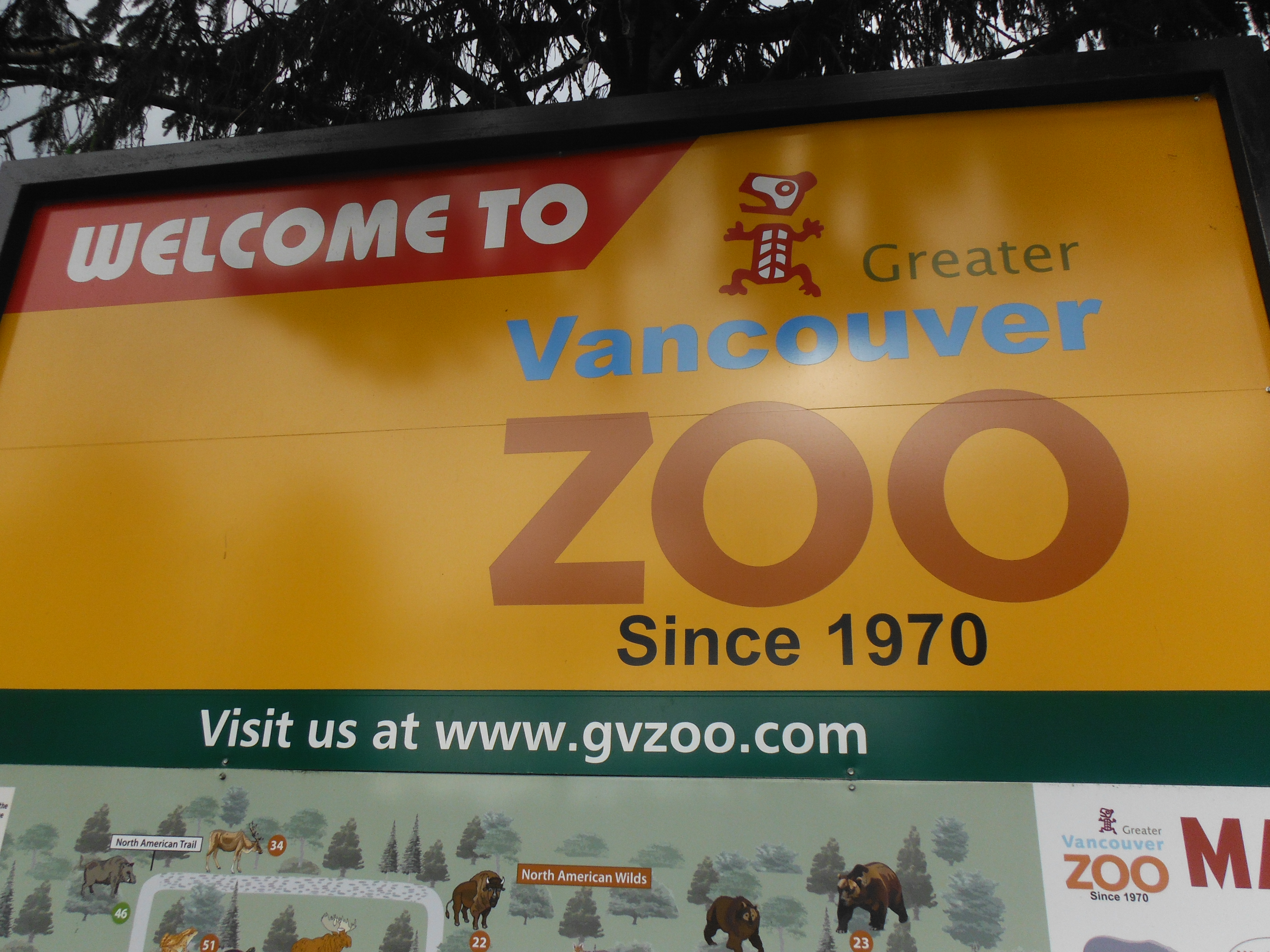 Greater Vancouver Zoo Pics #BeHere