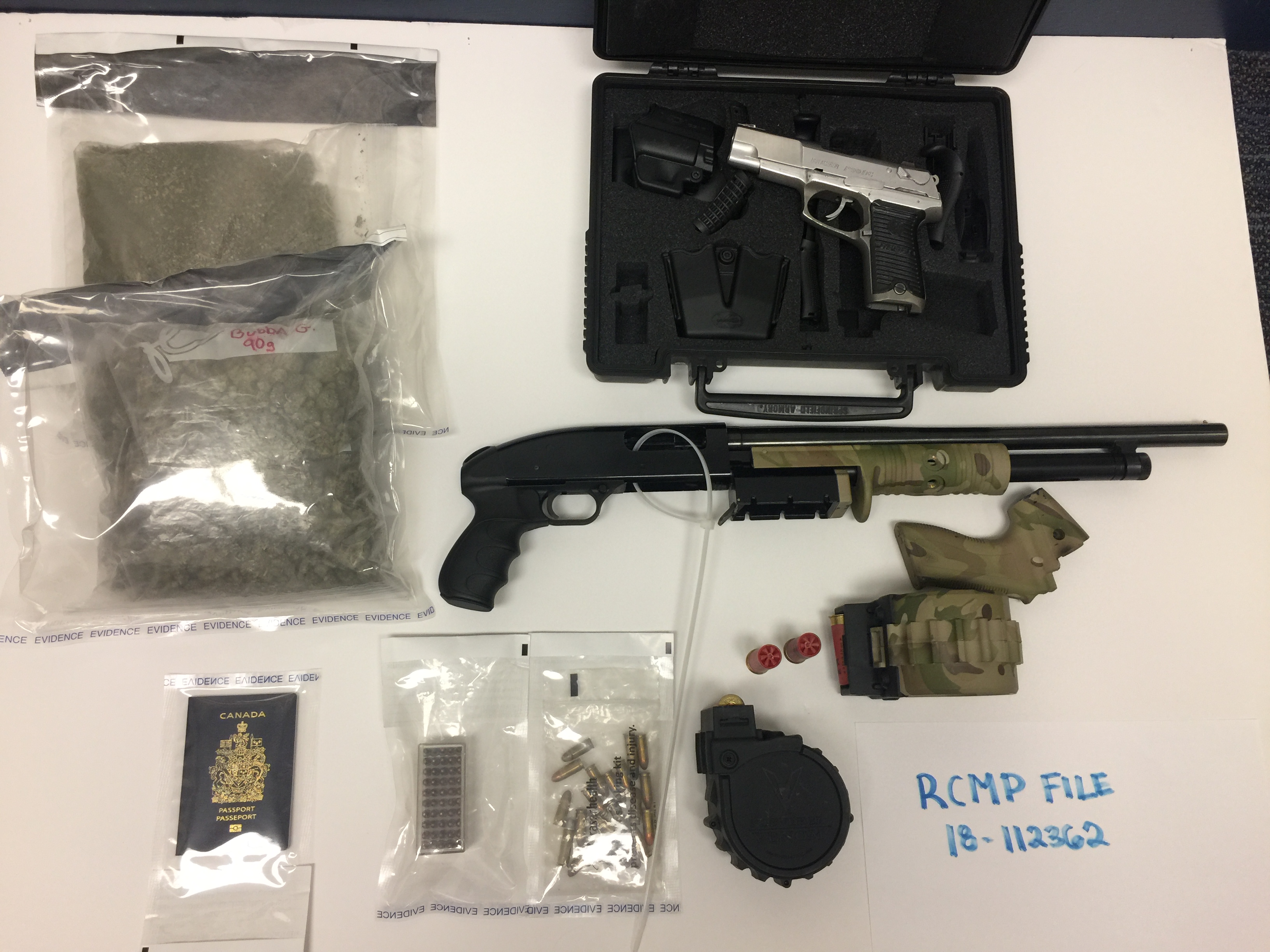 Surrey RCMP seize firearms and drugs in Cloverdale.