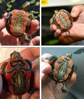 “We’ve Got Your Back”