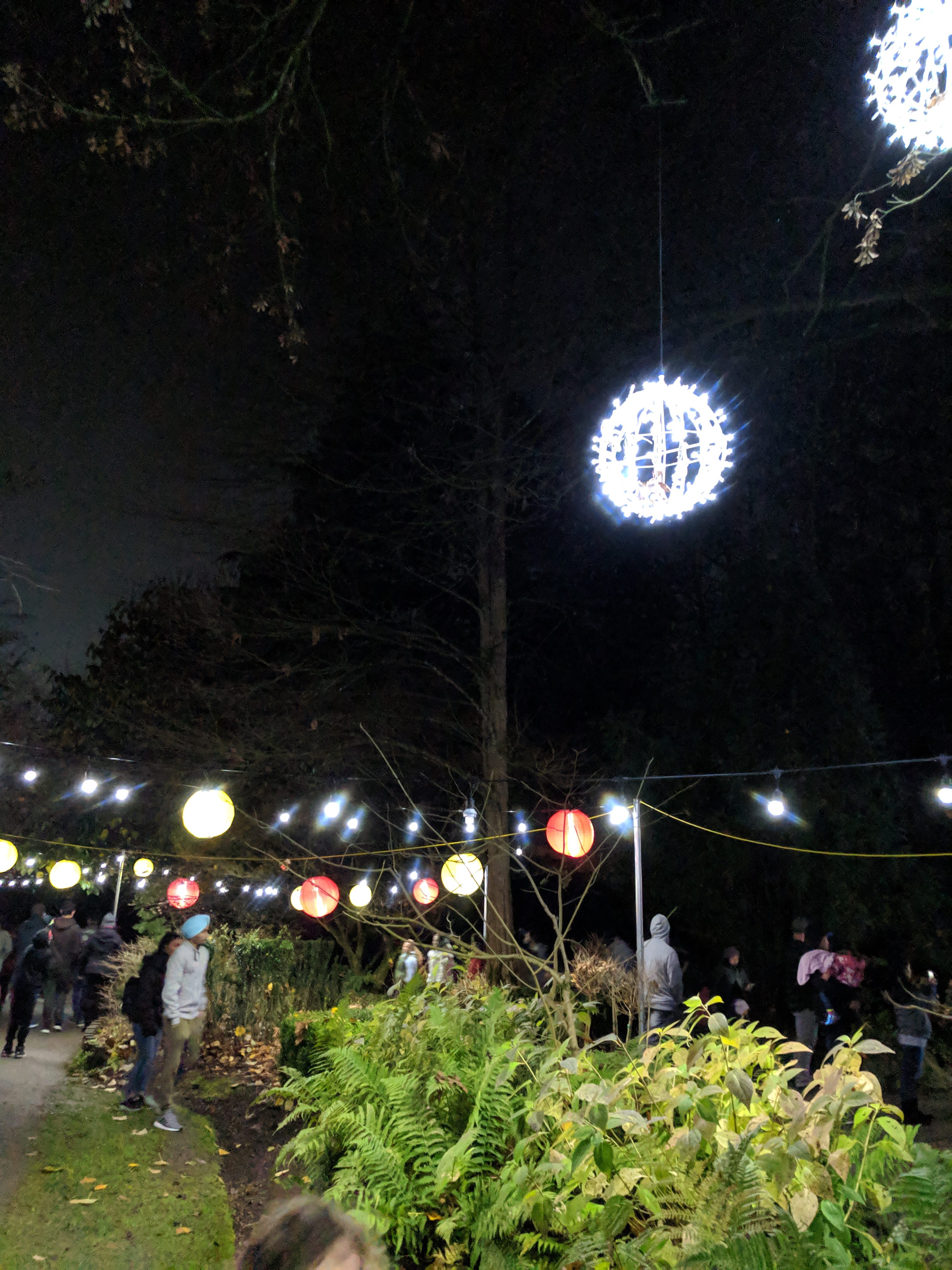 Festival of Lights at Bear Creek Park
