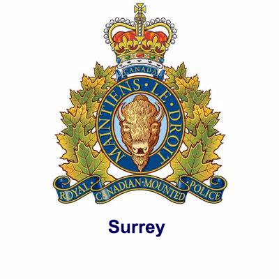 Surrey RCMP have released the 2018 crime stats