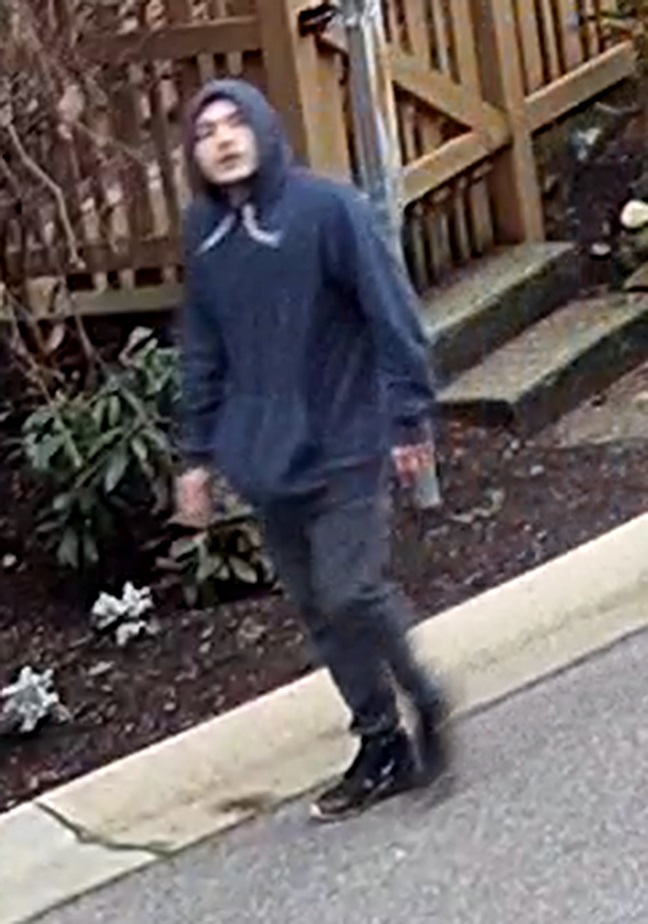Surrey RCMP release photo of suspect in an investigation of an indecent act   
