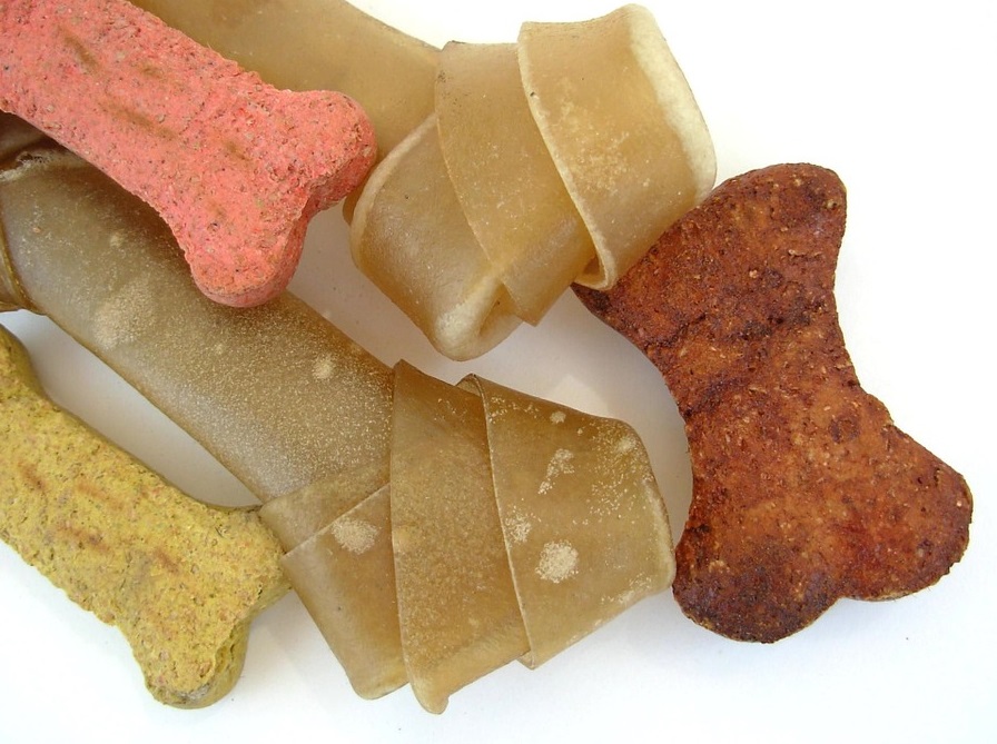 Favorite Pet Diets South of the Fraser