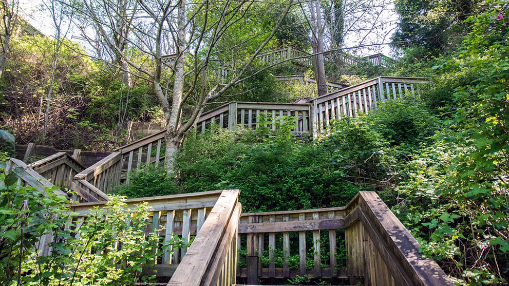 Surrey Easter Weekend COVID-19 Closures