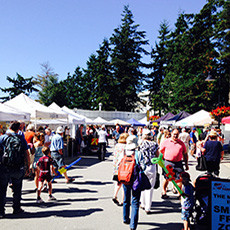 Pulse FM News Update for Monday, May 4th