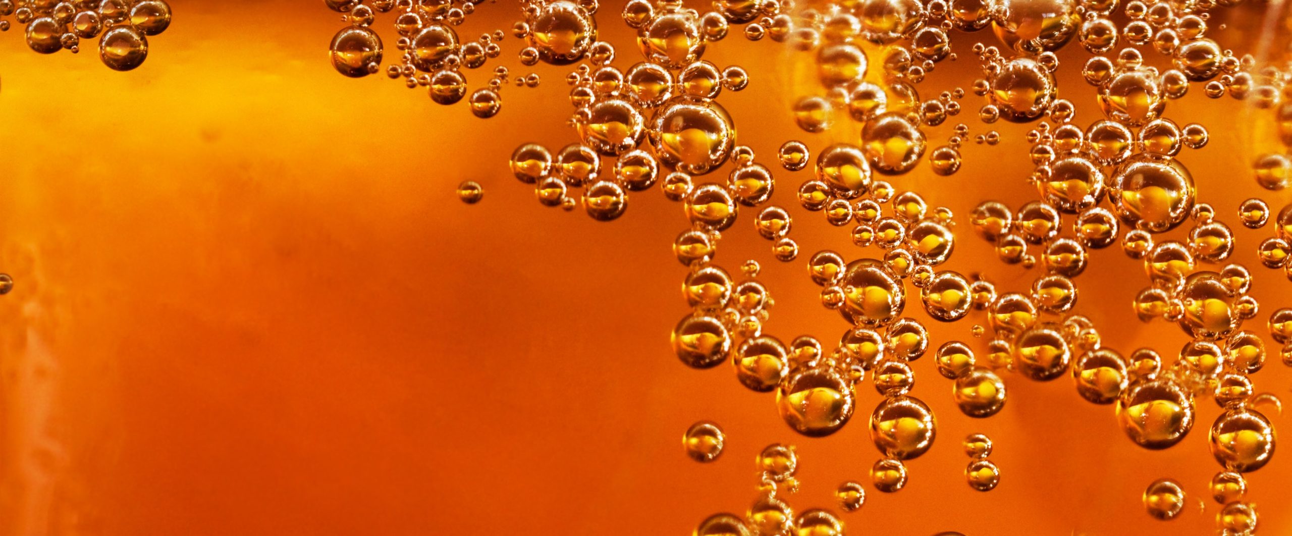 Want To Live Longer? Drink Beer