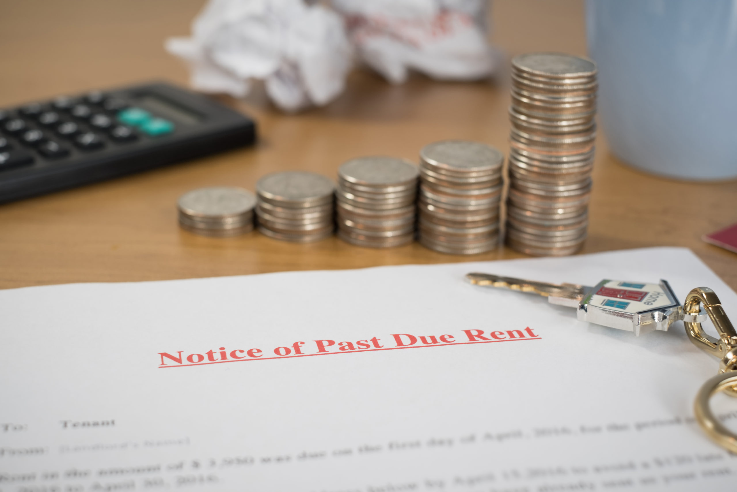 Pulse FM News Update for July 17th