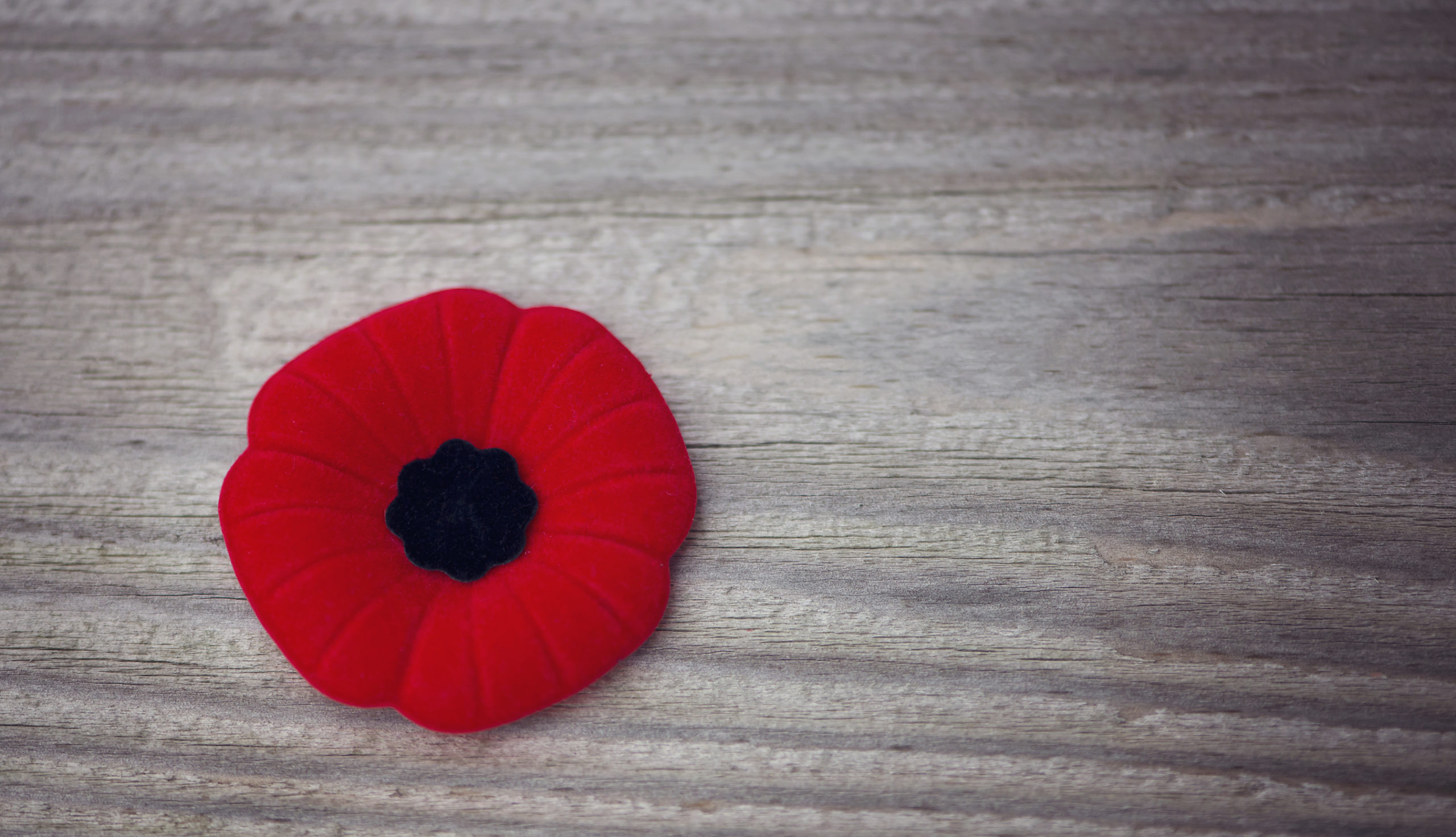 Where and How to Observe Remembrance Day this year