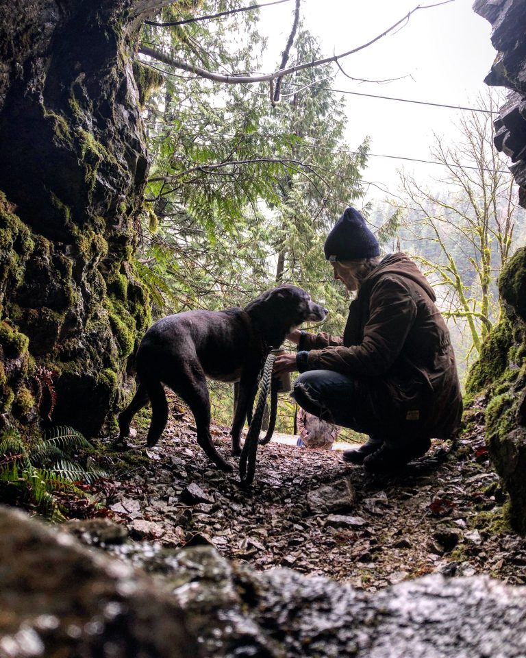 MISSING DOG FOUND AFTER 10 DAYS