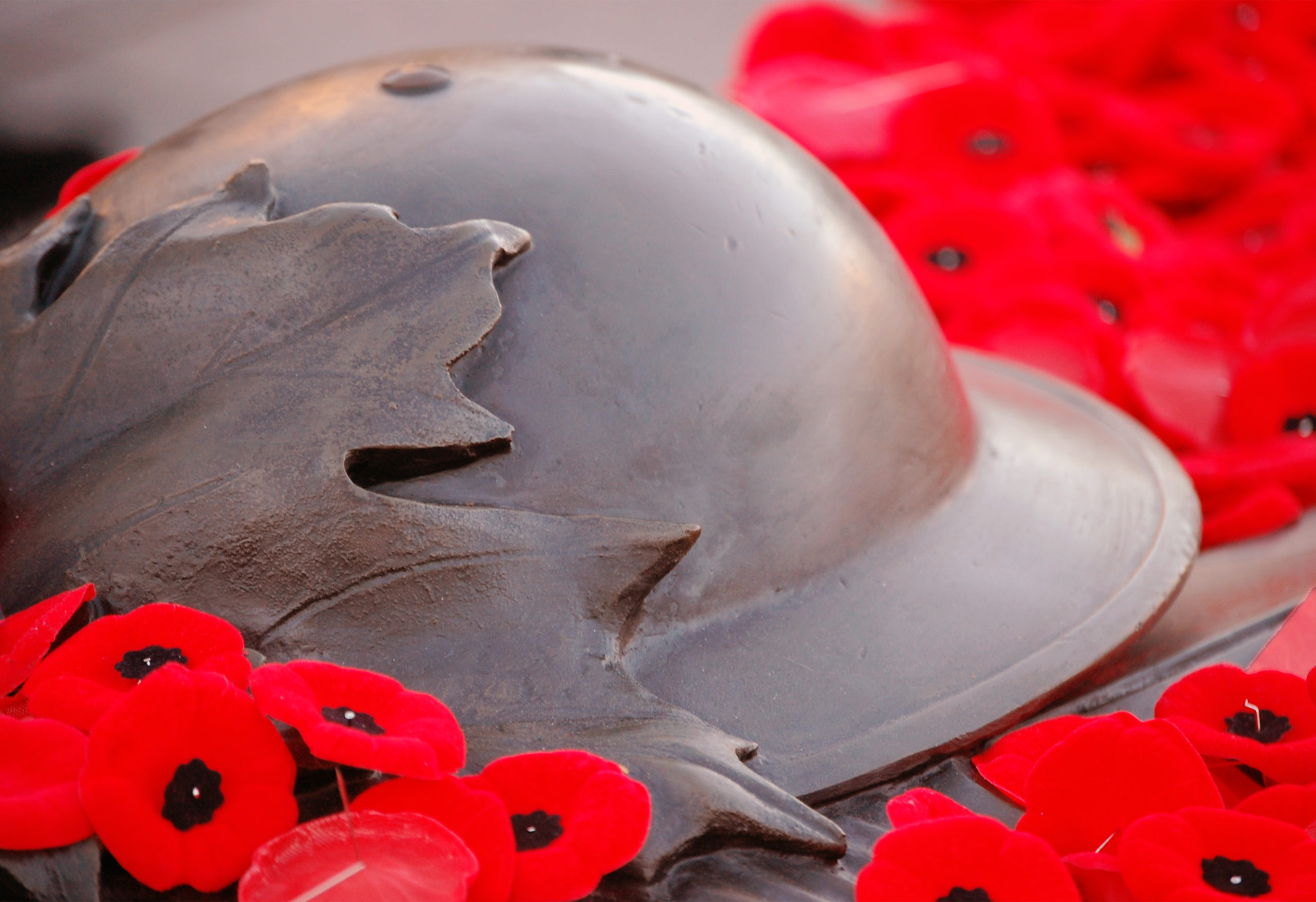Here’s what’s happening South of the Fraser for Remembrance Day