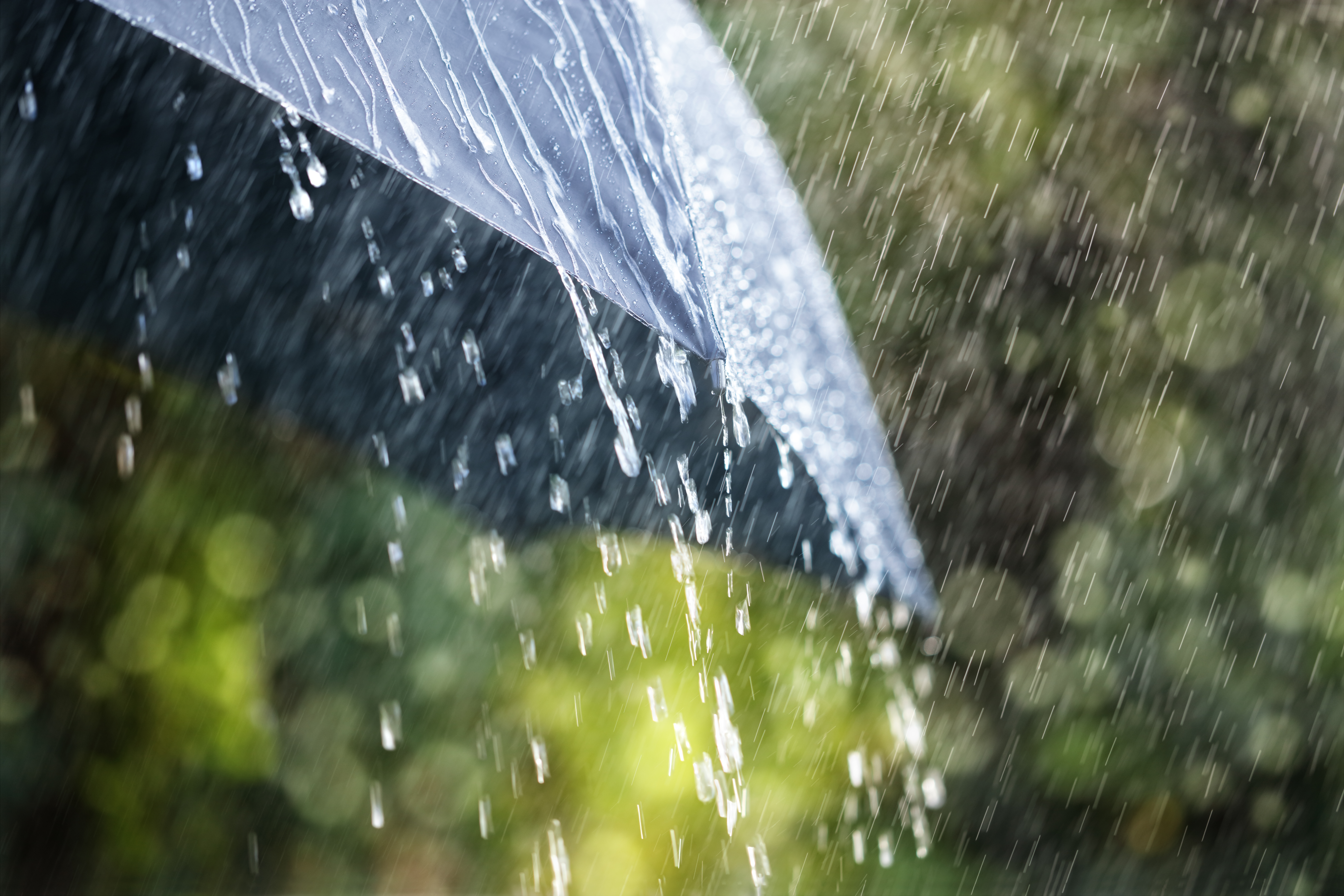 Heavy Rain Coming To The Fraser Valley TODAY, About 75-100 mm