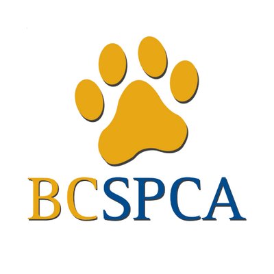 The SPCA Is Reducing Adoption Fees By 50% To Free Up Space For Flood Impacted Animals