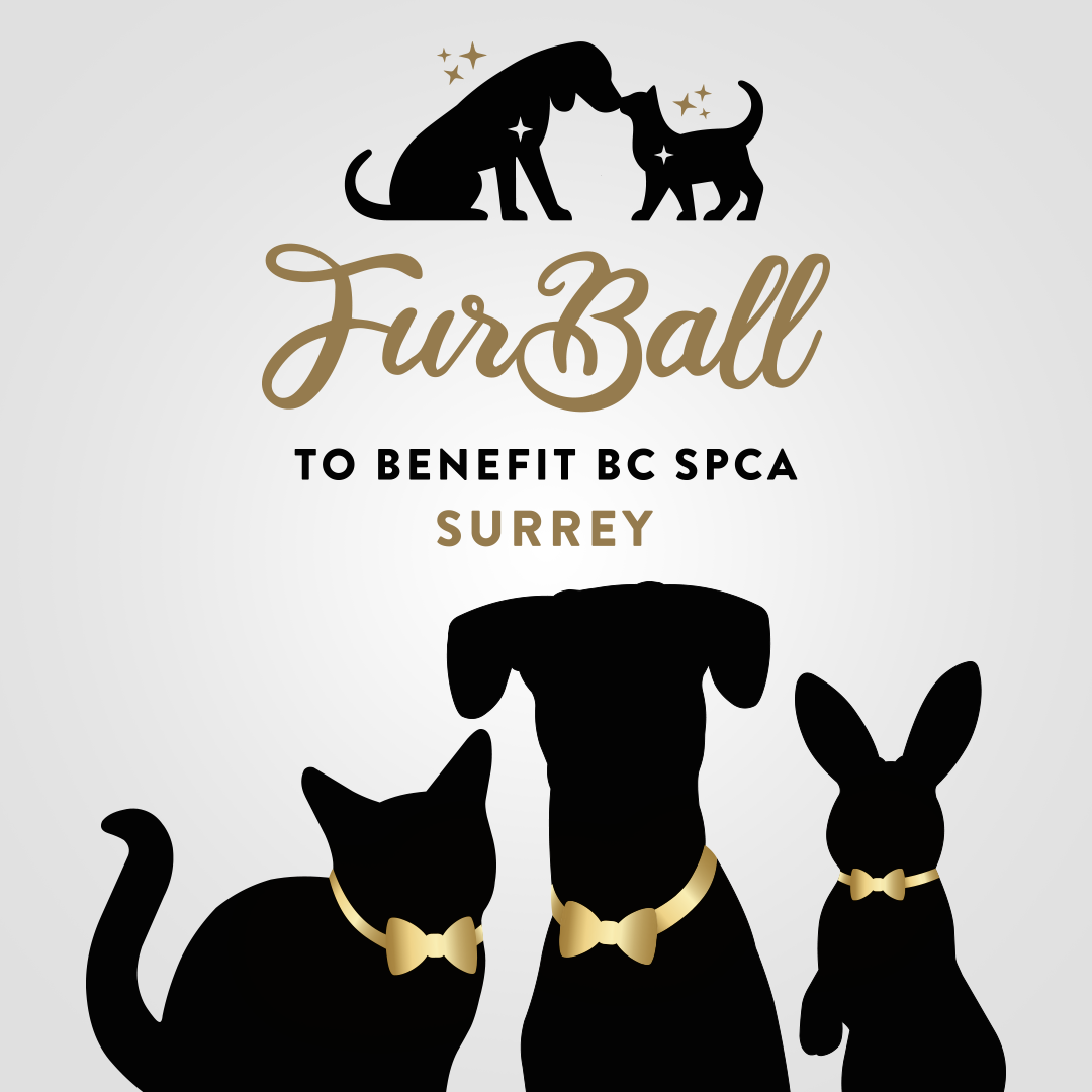 Surrey Spotlight: Surrey SPCA 2022 Furball