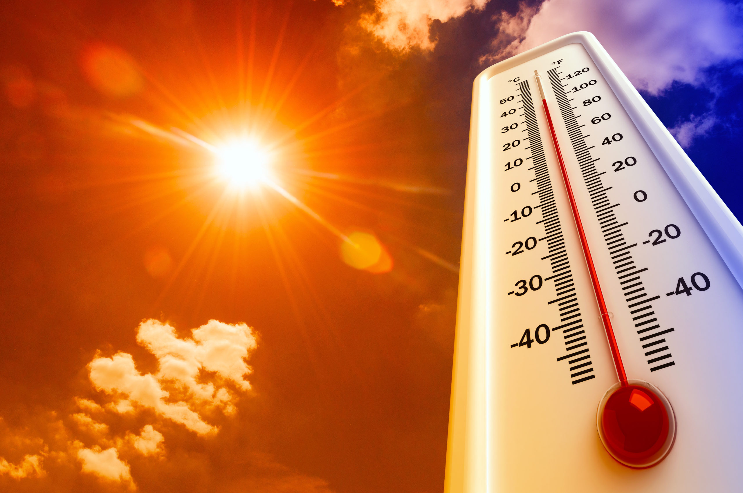 Beat the Heat: Complete list of cooling centres in Surrey
